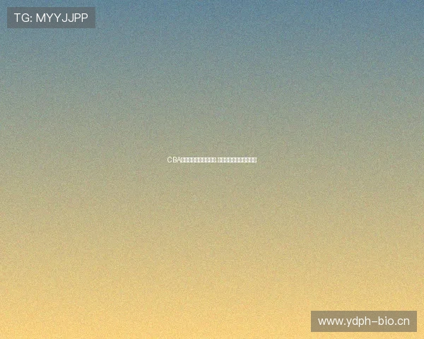 CBA官方购票平台全面升级 球迷轻松抢票享赛事精彩