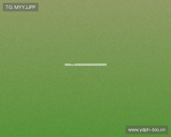 光速体育app全新版本上线优化界面提升体验畅享极速体育直播